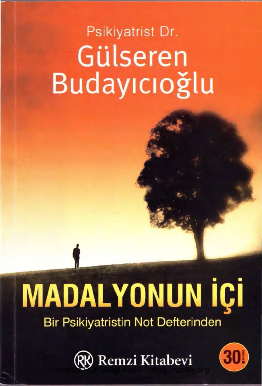 Madalyonun İçi Remzi Kitabevi kapak görseli