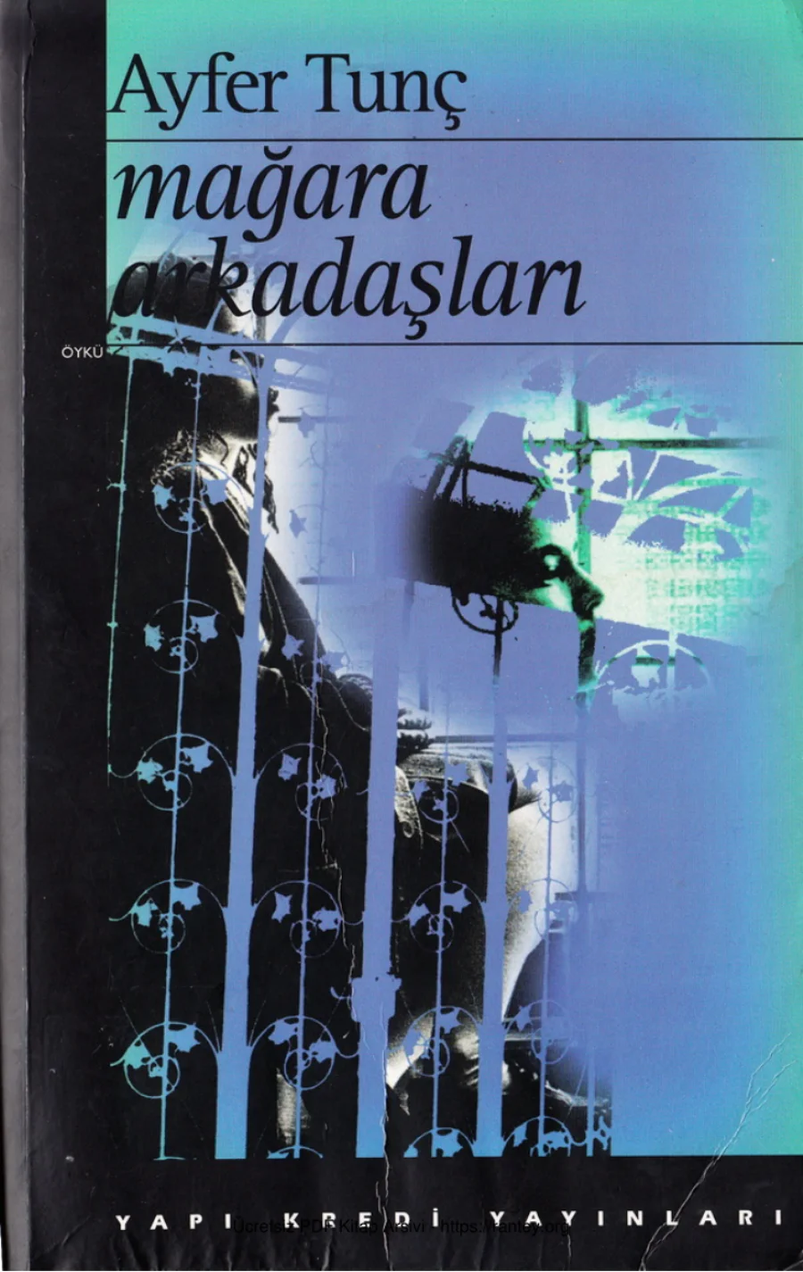 Mağara Arkadaşları kapak görseli