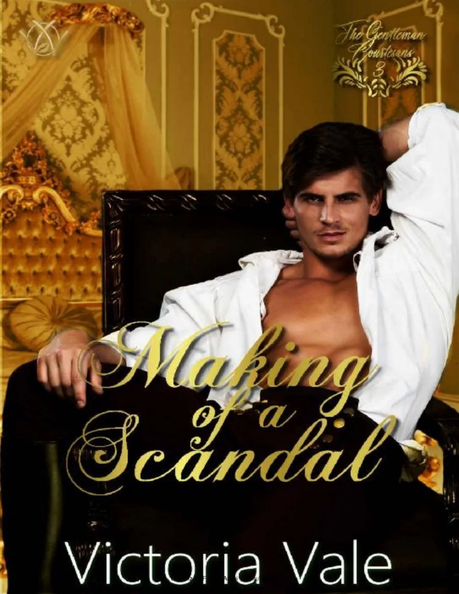 Making of a Scandal kapak görseli