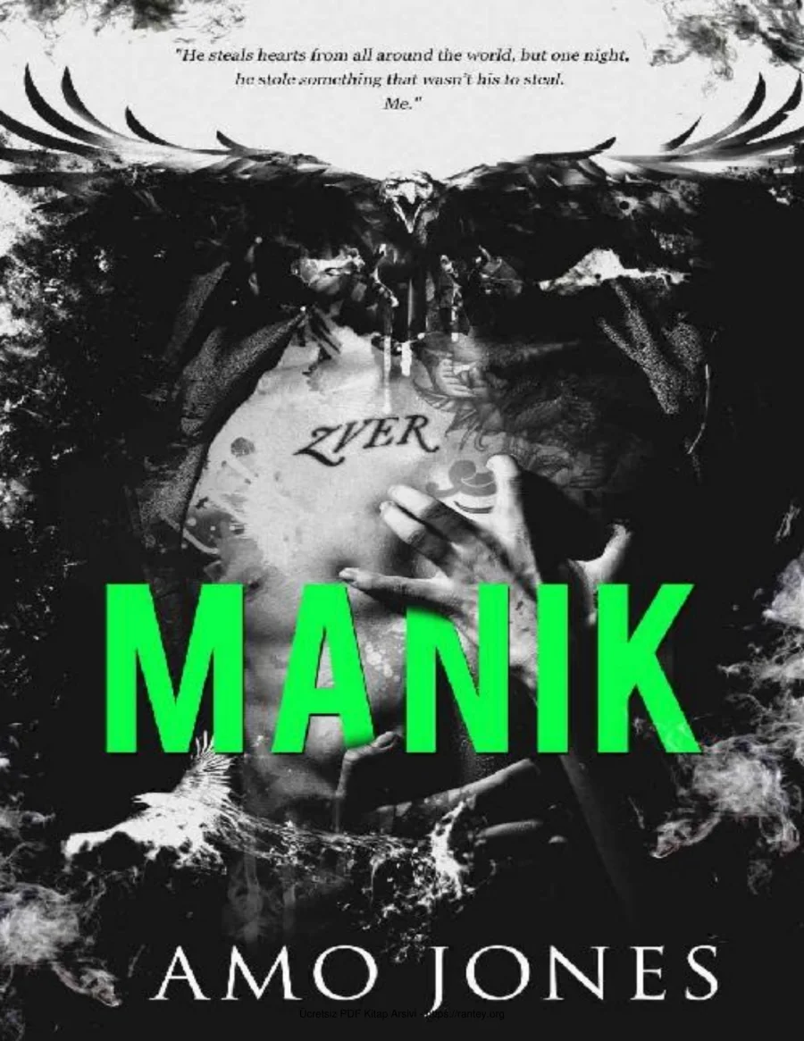Manik kapak görseli