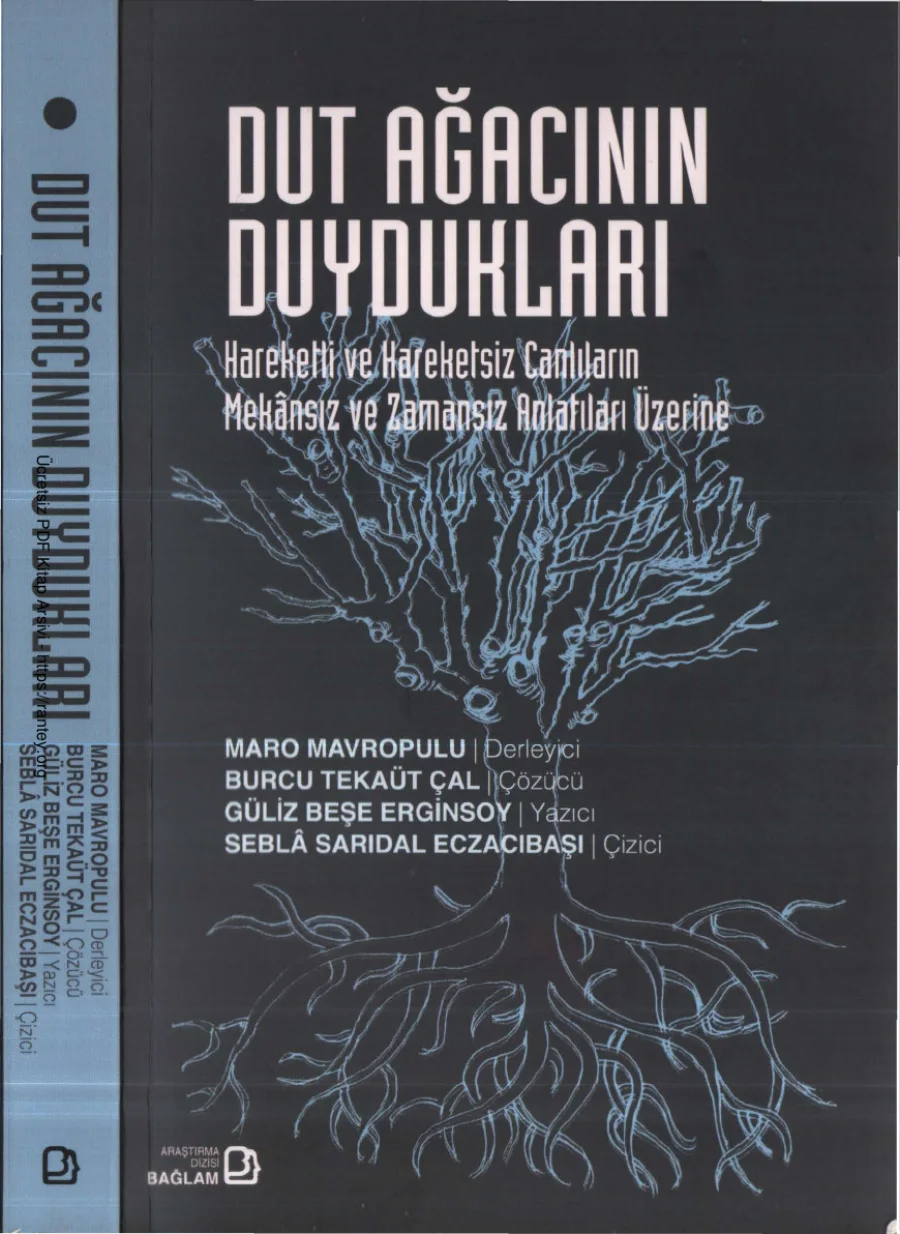 Dut Ağacının Duydukları kapak görseli
