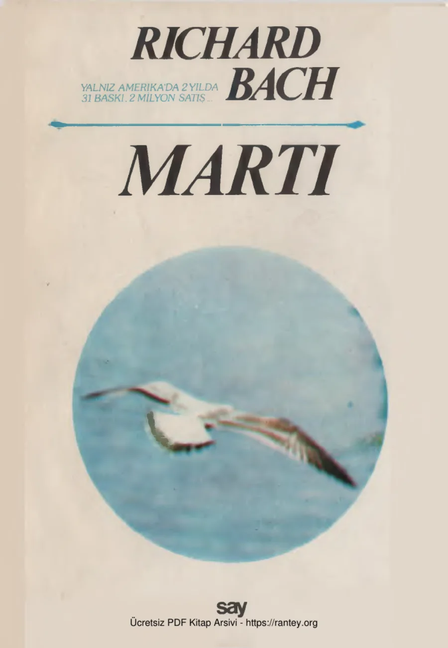 Martı kapak görseli
