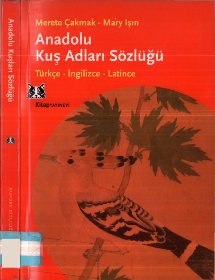 Mary Işın Anadolu Kuş Adları Sözlüğü kapak görseli