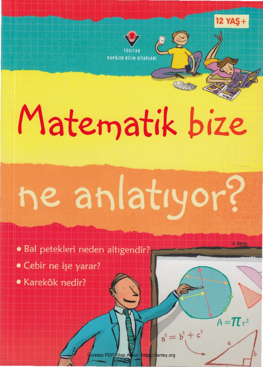 Matematik Bize Ne Anlatıyor kapak görseli