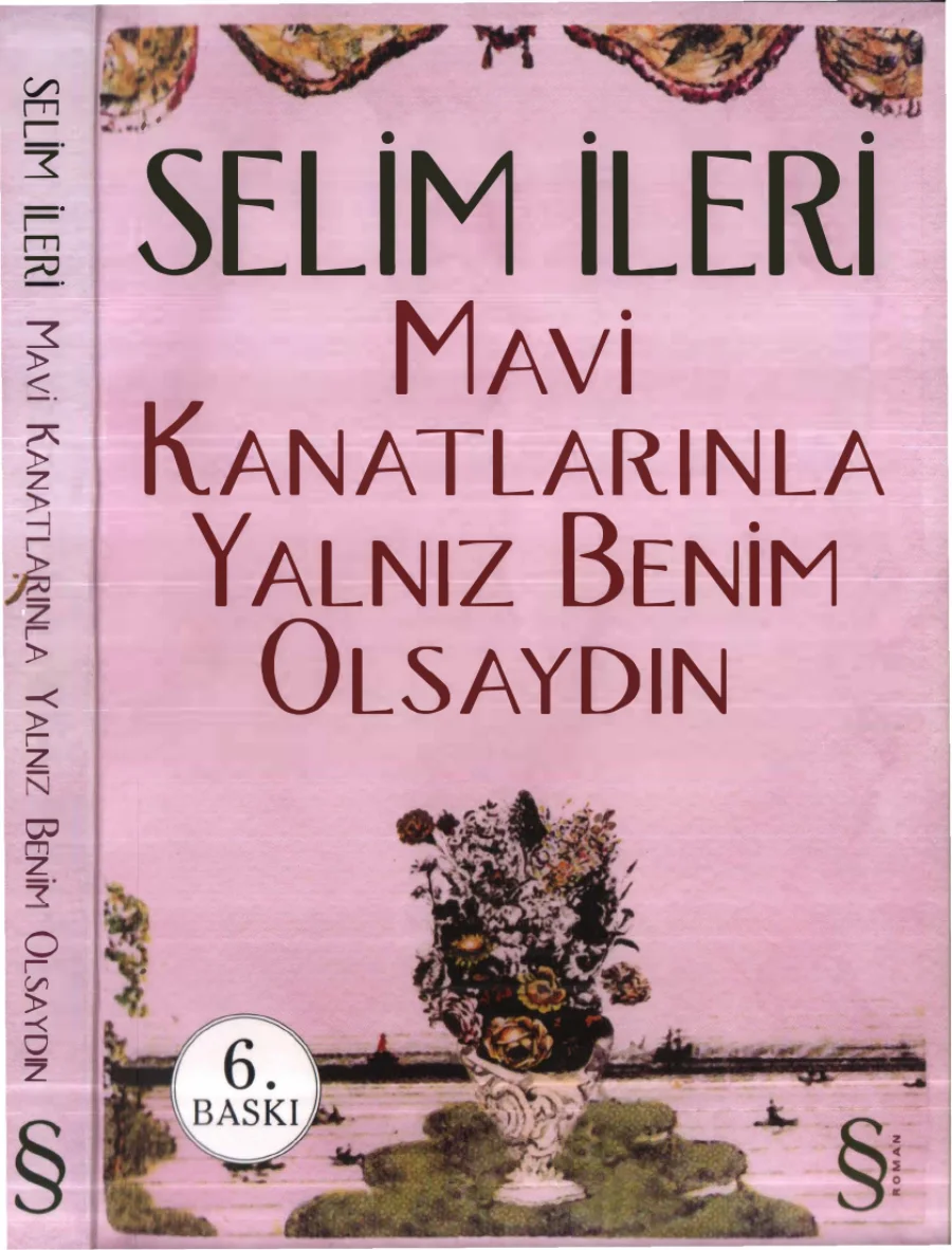 Mavi Kanatlarınla Yalnız Benim Olsaydın kapak görseli