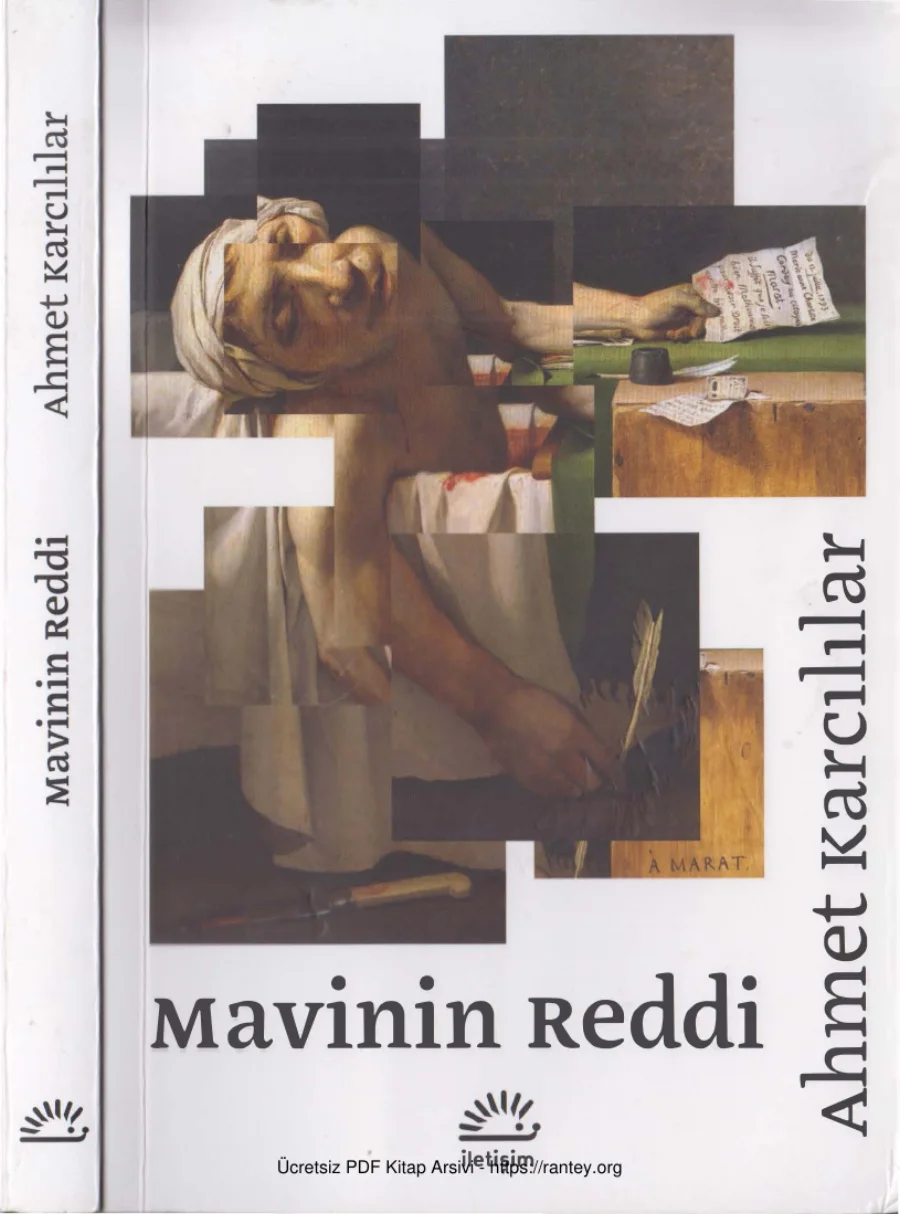 Mavinin Reddi kapak görseli