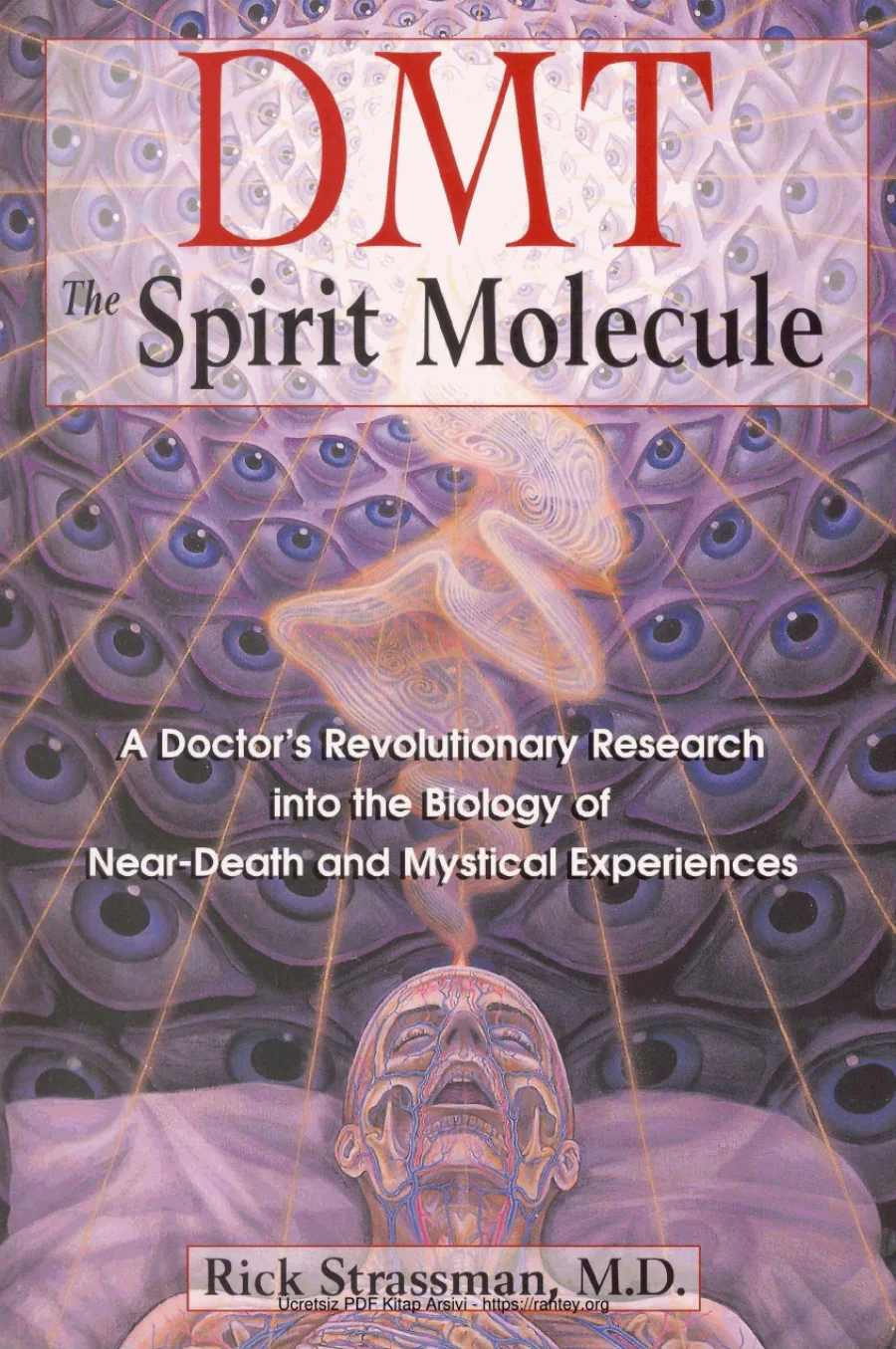 MD DMT The Spirit Molecule kapak görseli