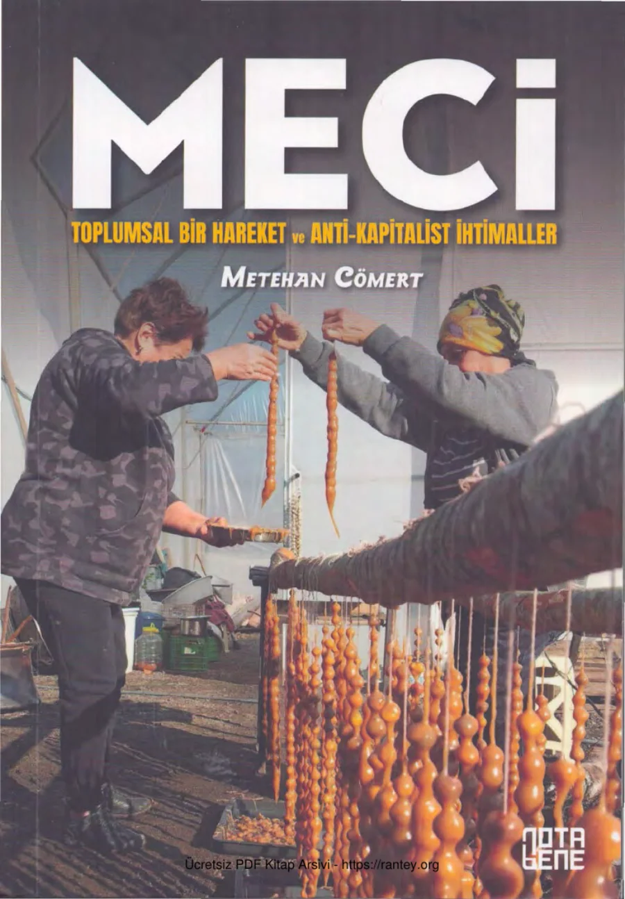 Meci Toplumsal Bir Hareket ve Anti Kapitalist İhtimaller kapak görseli