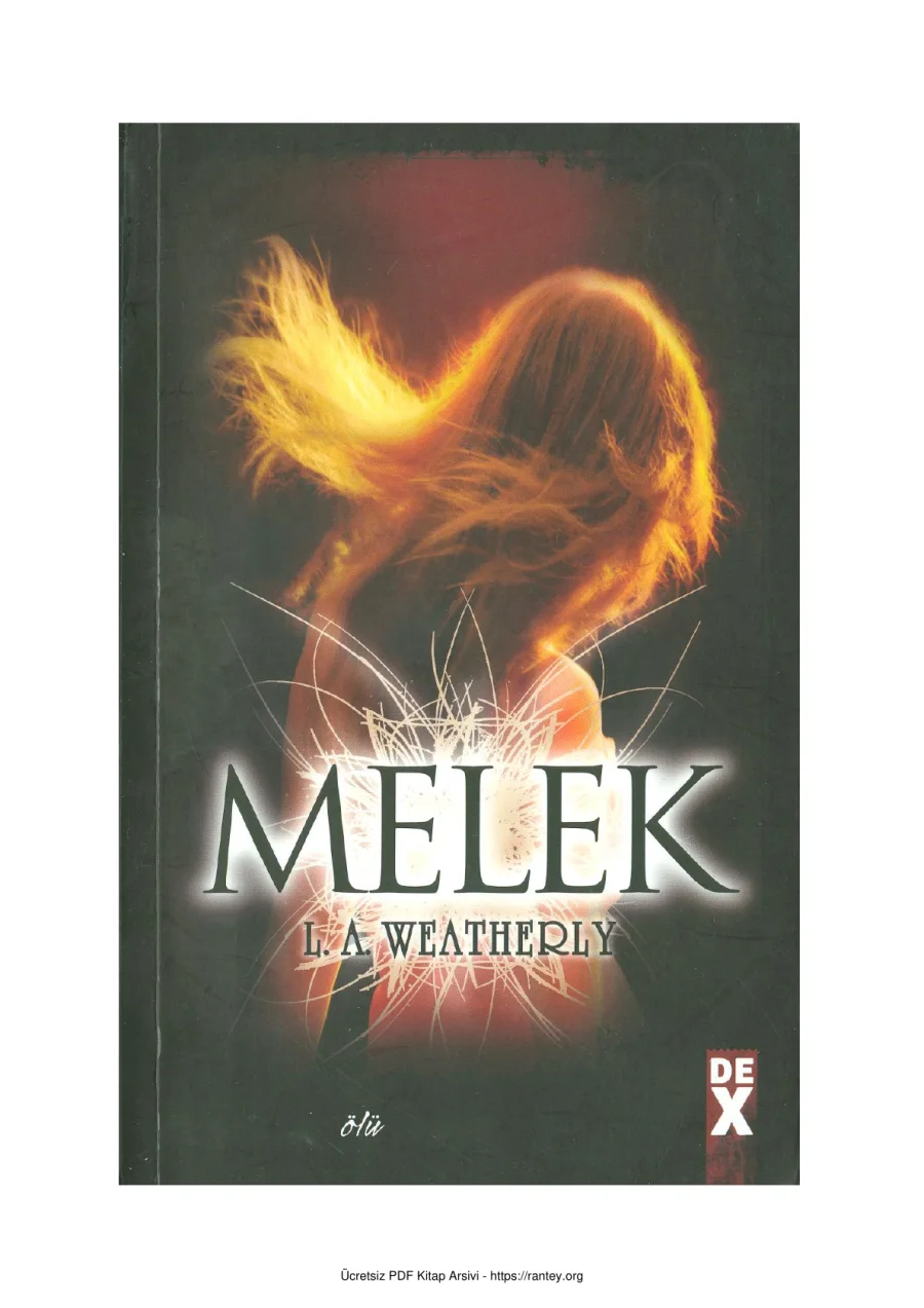 Melek kapak görseli