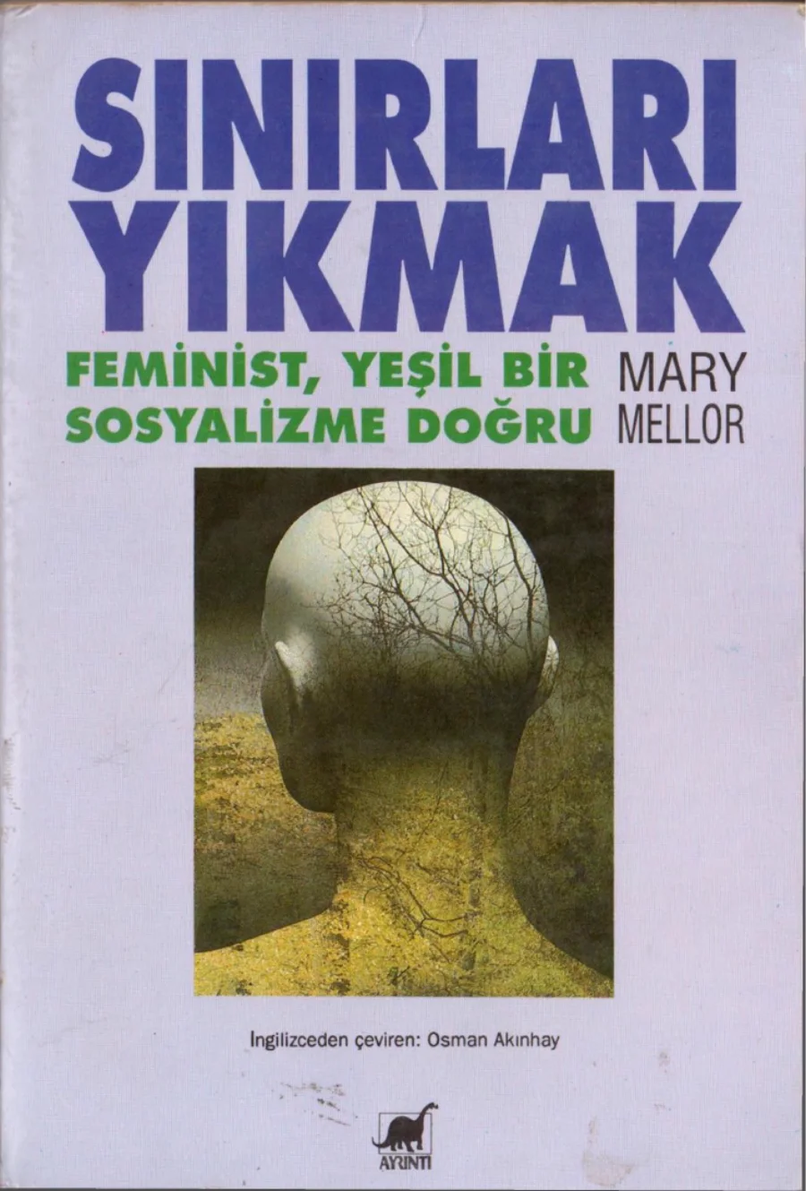 Mellor Sınırları Yıkmak Feminist Yeşil Bir Sosyalizme Doğru kapak görseli