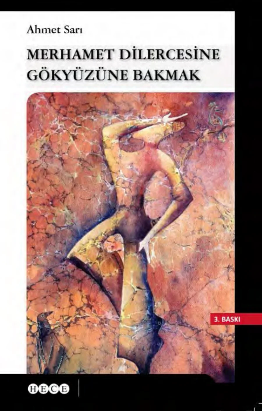 Merhamet Dilercesine Gökyüzüne Bakmak Hece Yayınları kapak görseli