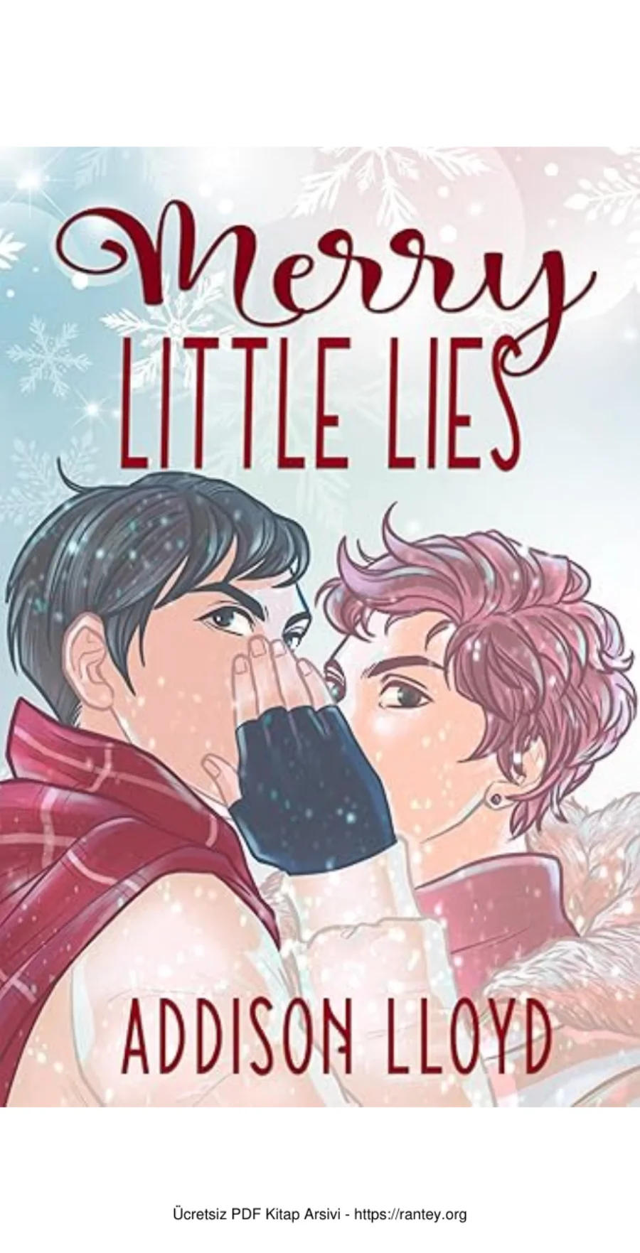 Merry Little Lies kapak görseli