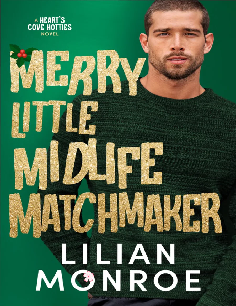 Merry Little Midlife Matchmaker kapak görseli