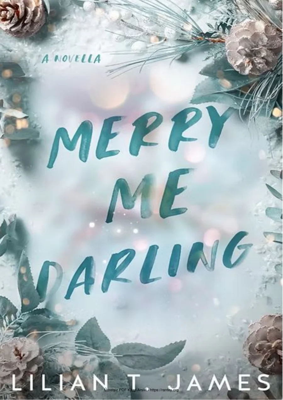 Merry Me Darling kapak görseli