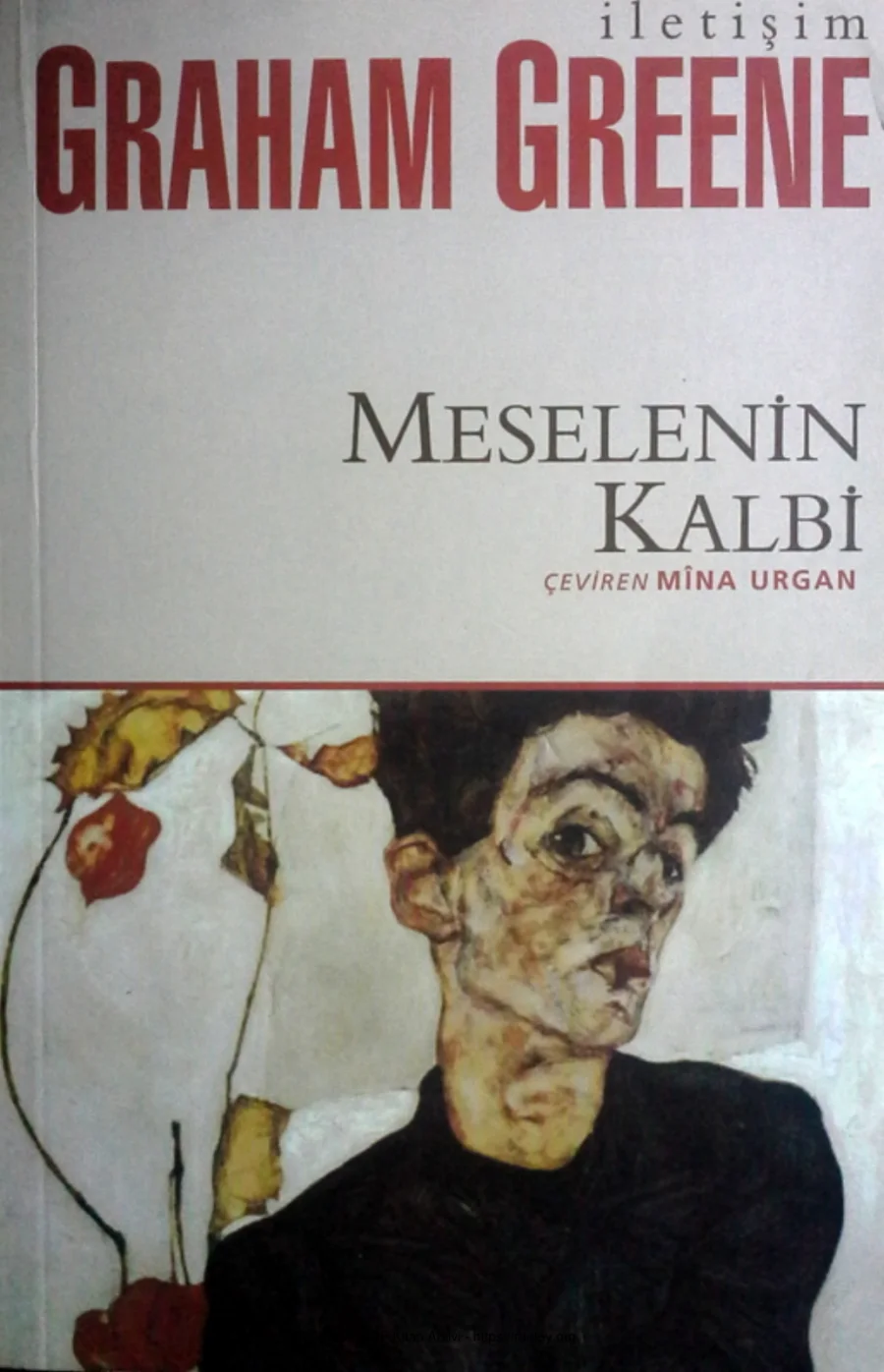 Meselenin Kalbi kapak görseli