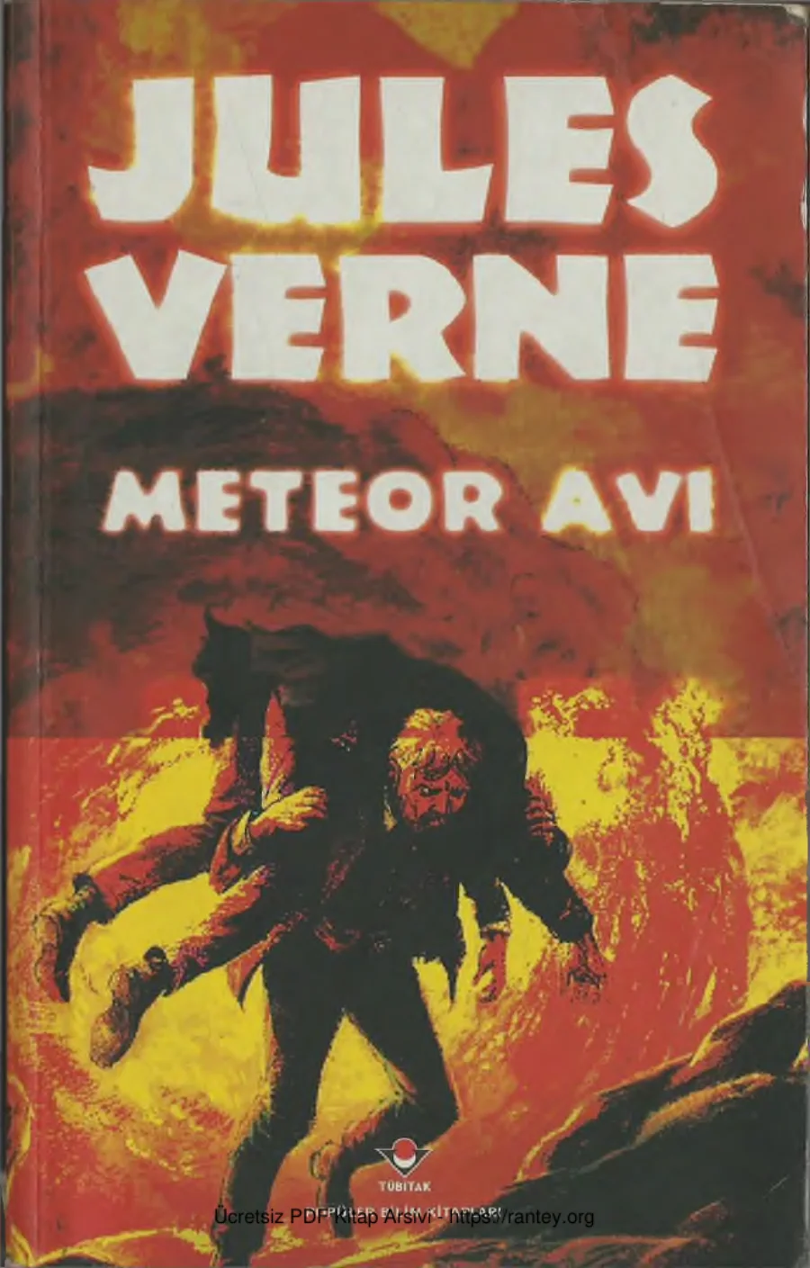 Meteor Avı Tübitak Yayınları kapak görseli