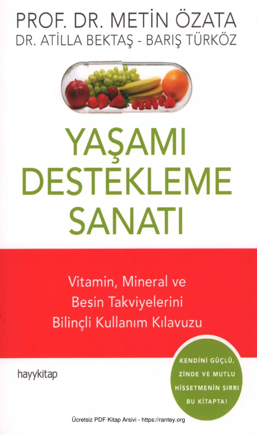 Metin Özata Yaşamı Destekleme Sanatı Hayy Kitap kapak görseli