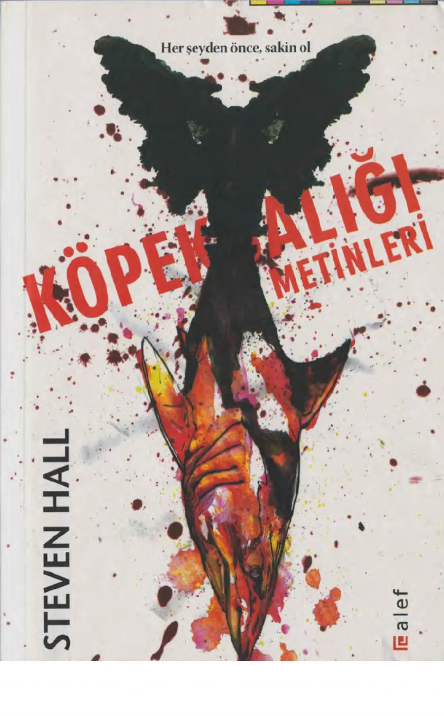 Metinleri kapak görseli