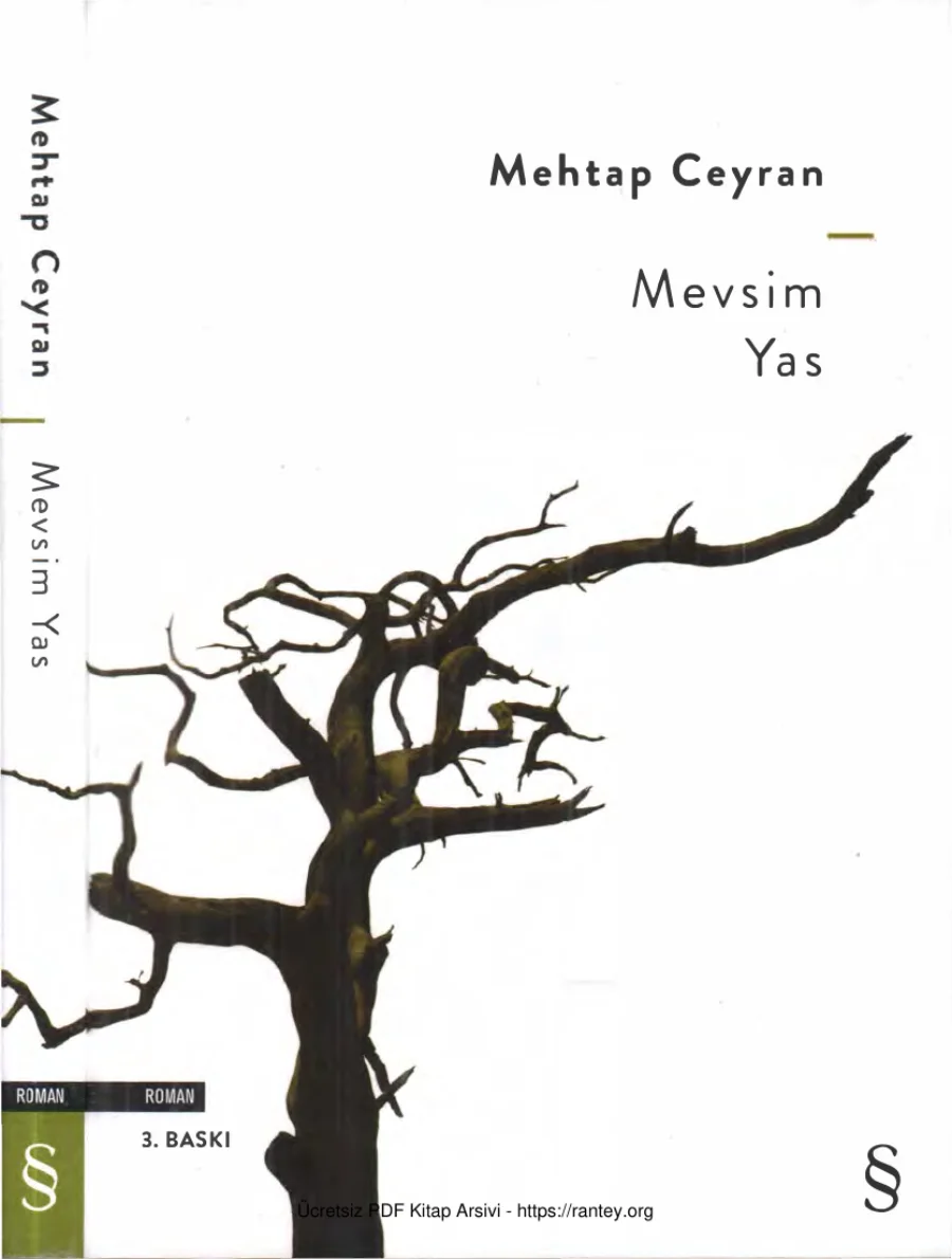 Mevsim Yas Everest Yayınları kapak görseli