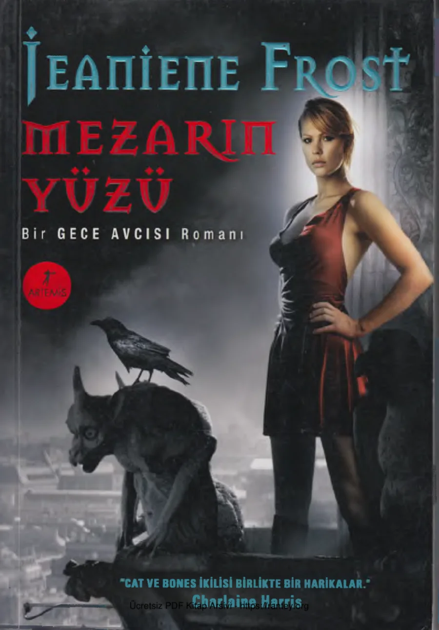 Mezarın Yüzü kapak görseli