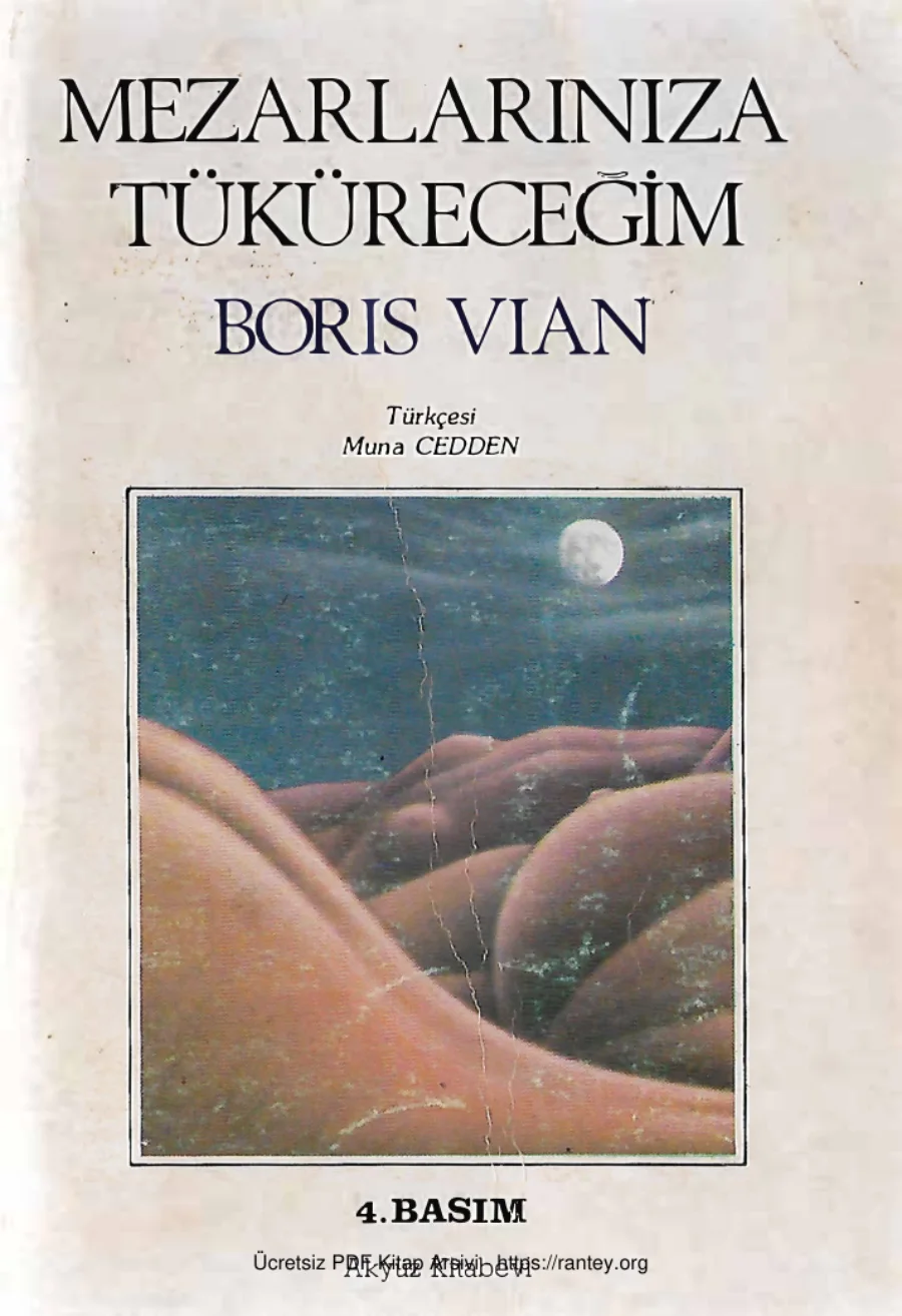 Mezarlarınıza Tüküreceğim kapak görseli