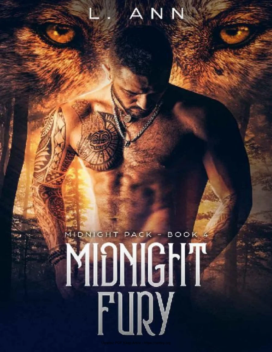 Midnight Fury kapak görseli
