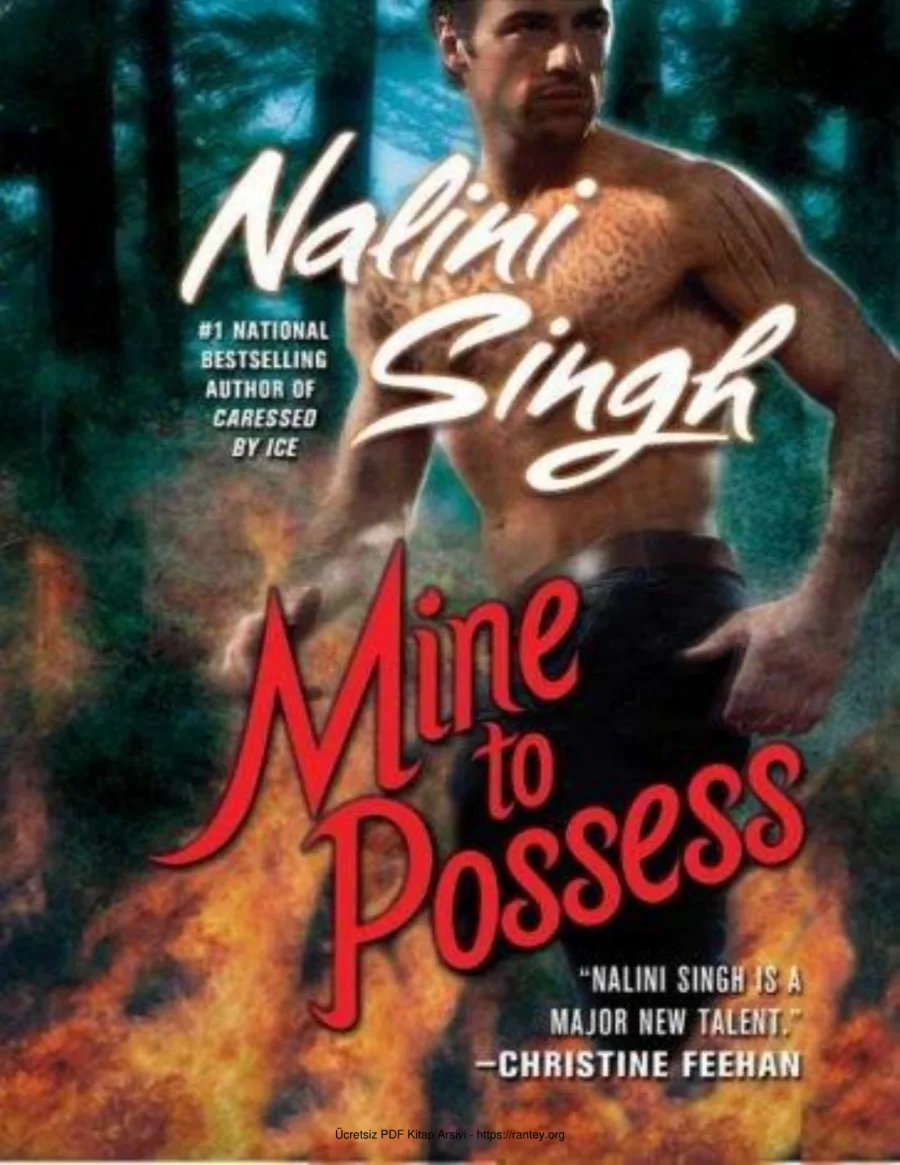 Mine to Possess kapak görseli