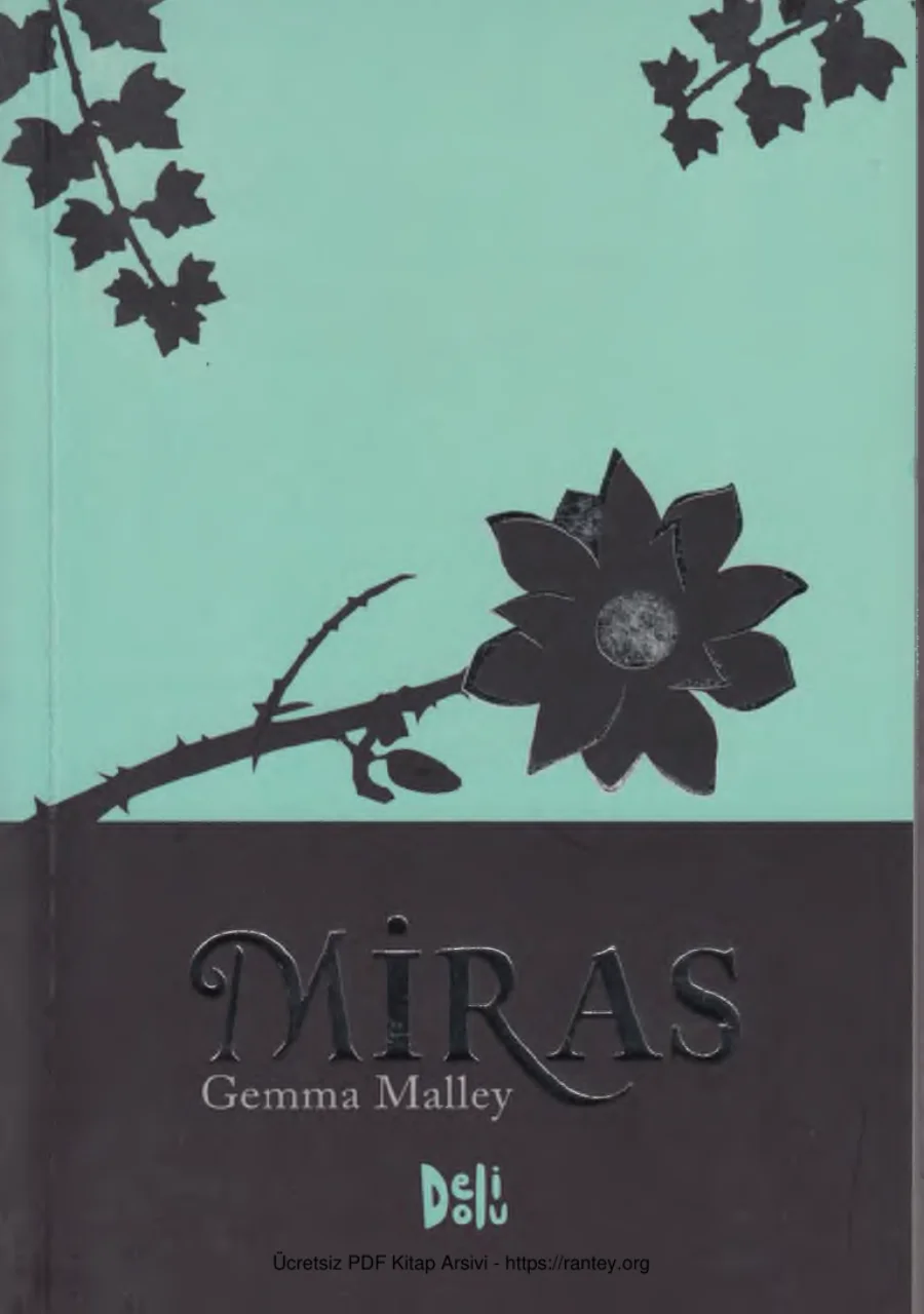 Miras kapak görseli