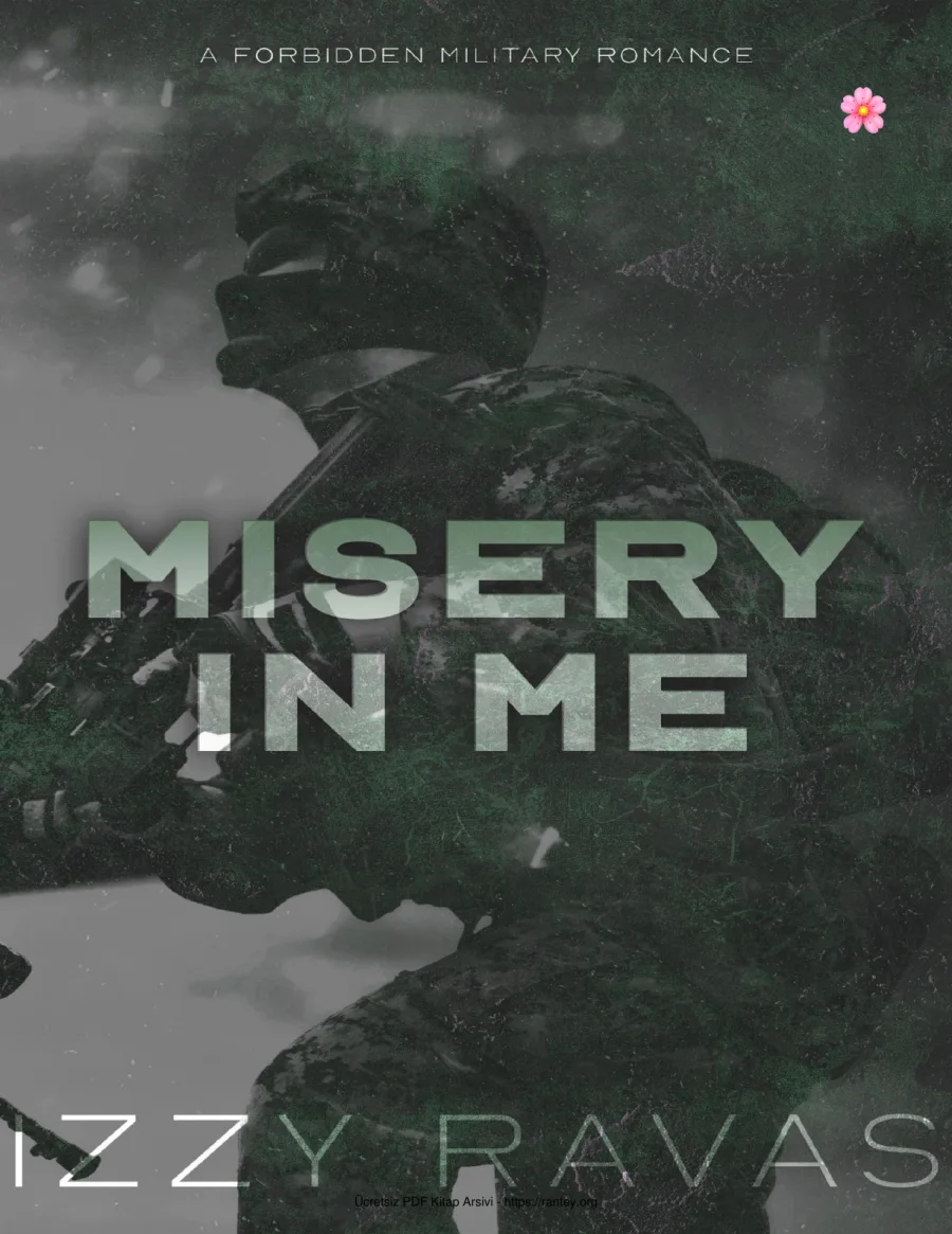 Misery In Me kapak görseli