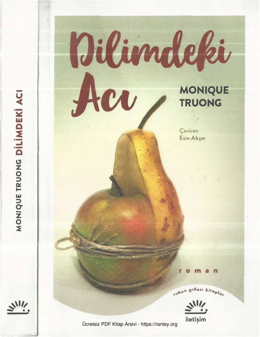 Monique Truong Dilimdeki Acı kapak görseli