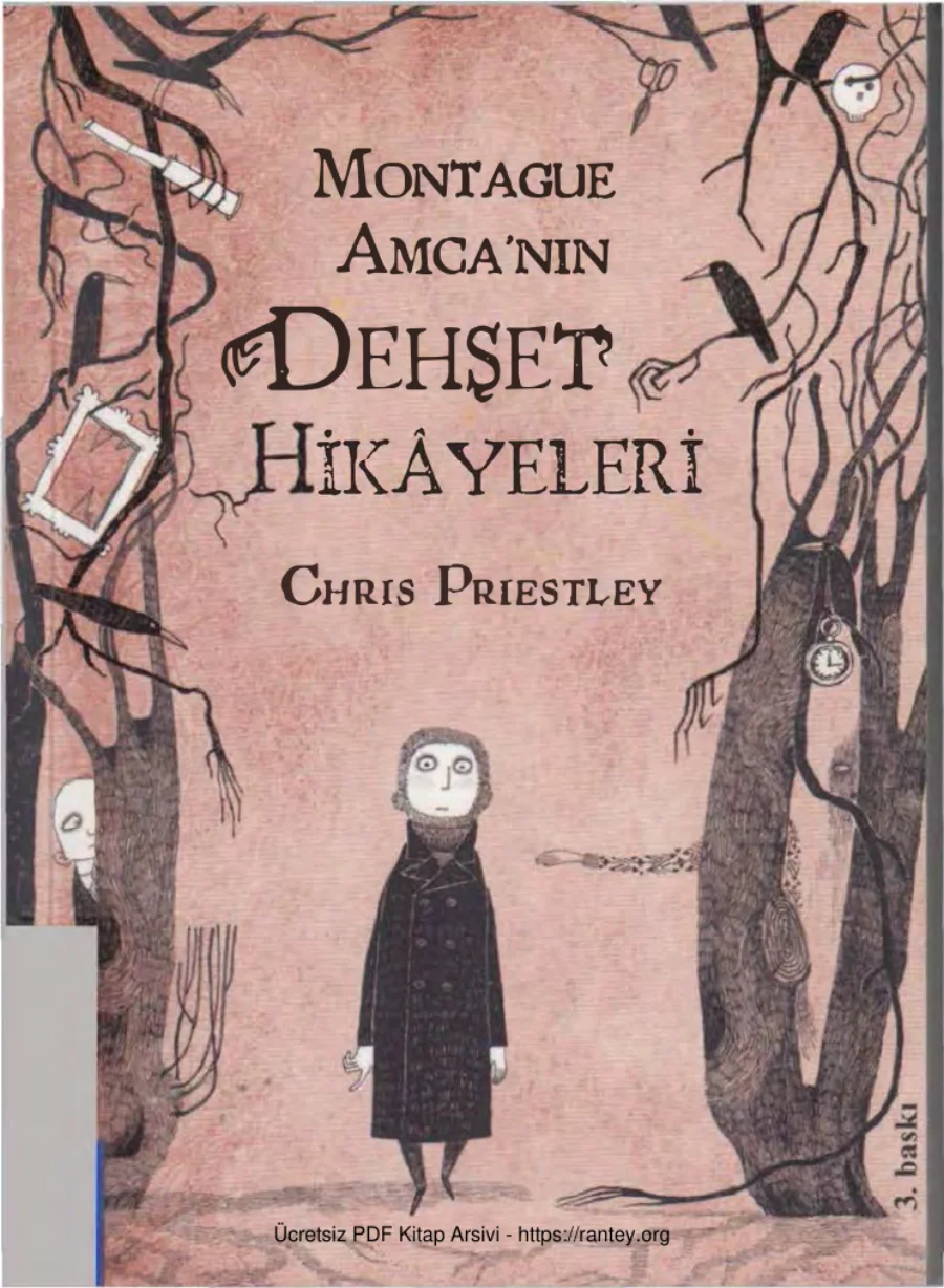 Montague Amcanın Dehşet Hikayeleri kapak görseli