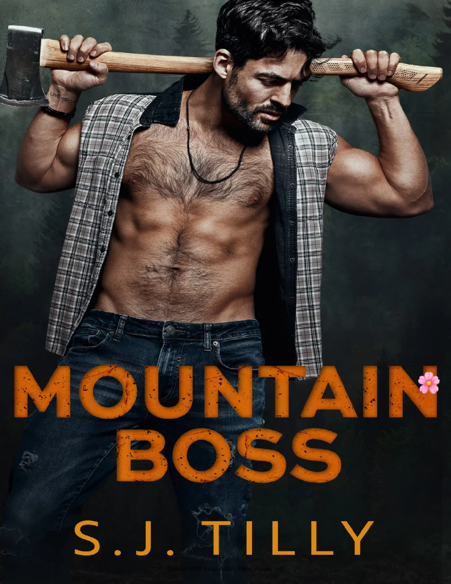 Mountain Boss kapak görseli