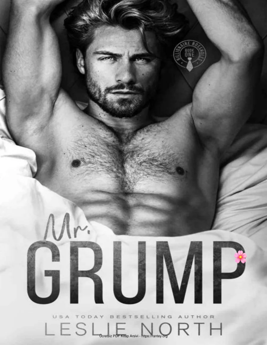 Mr Grump kapak görseli