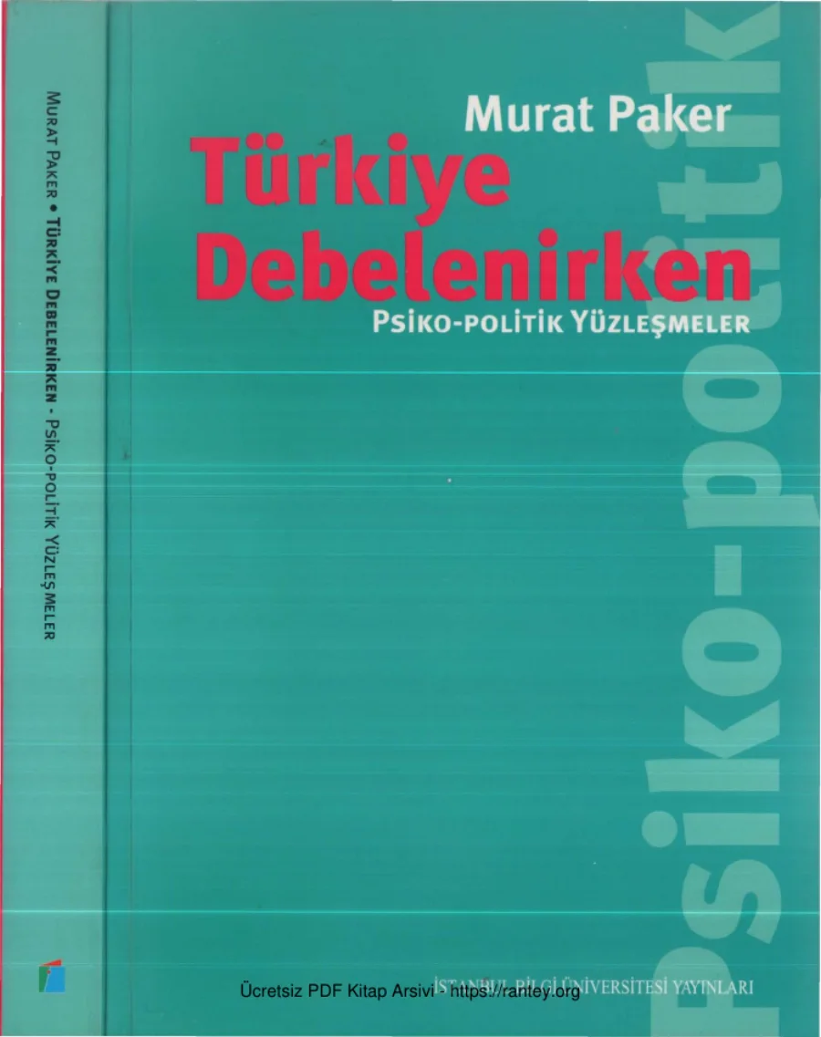 Murat Paker Türkiye Debelenirken kapak görseli