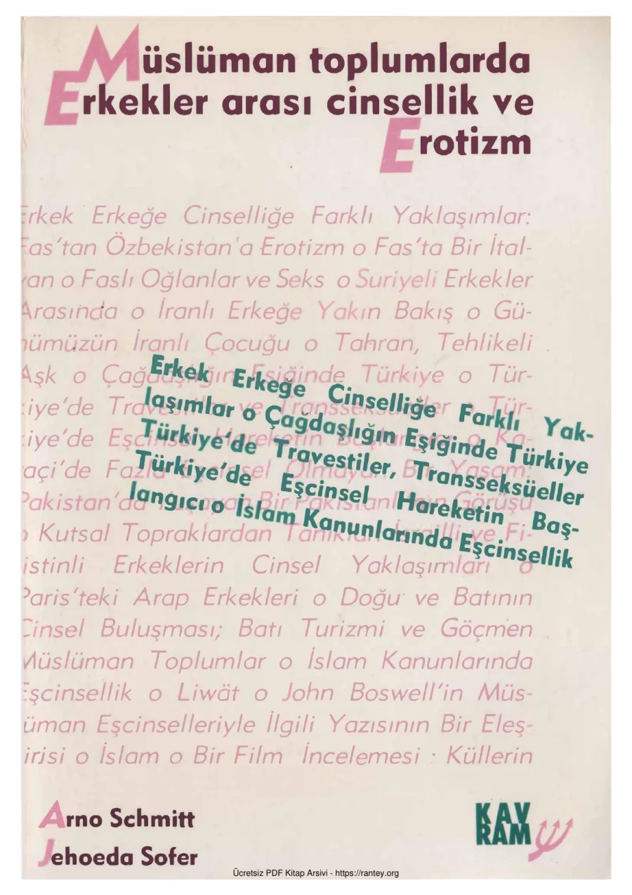 Müslüman Toplumlarda Erkekler Arası Cinsellik ve Erotizm kapak görseli