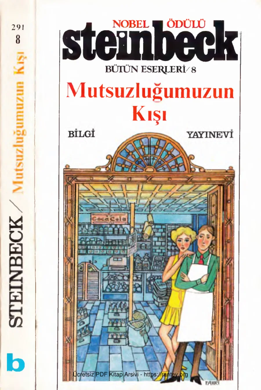 Mutsuzluğumuzun Kışı Bilgi Yayınevi kapak görseli