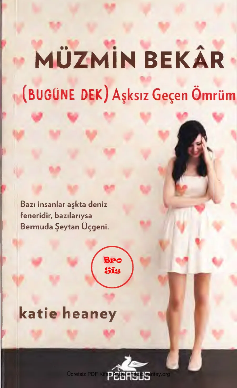 Müzmin Bekar kapak görseli