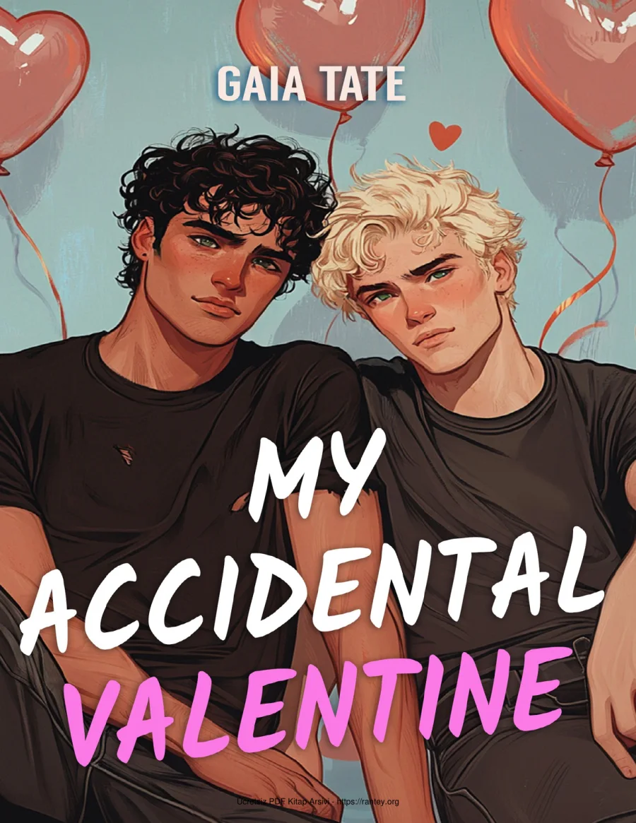 My Accidental Valentine kapak görseli