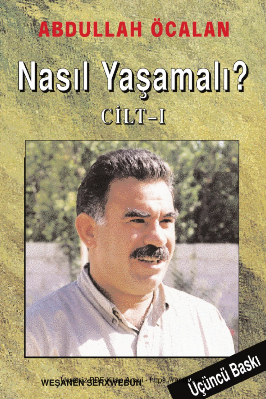 Nasıl Yaşamalı Cilt I kapak görseli