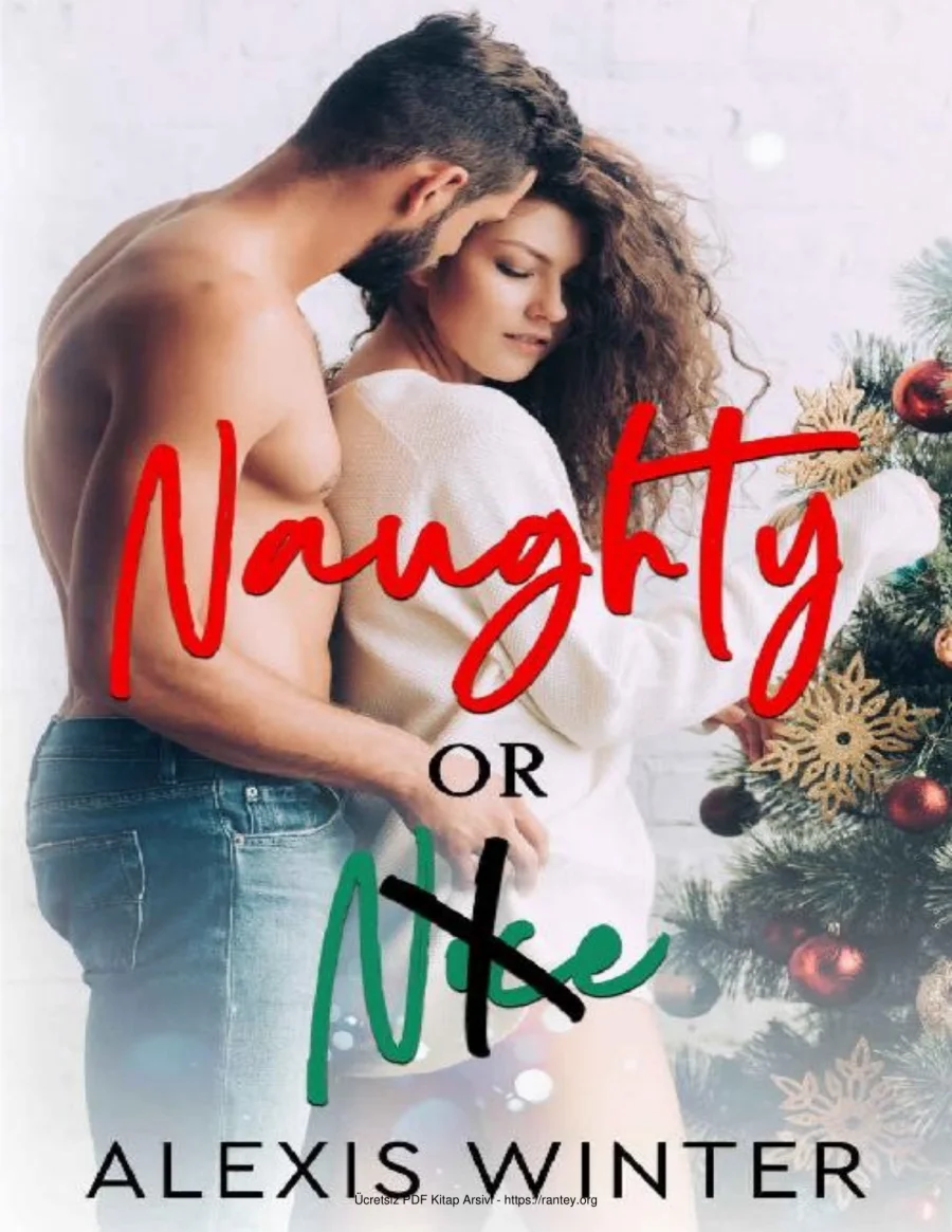 Naughty or Nice kapak görseli