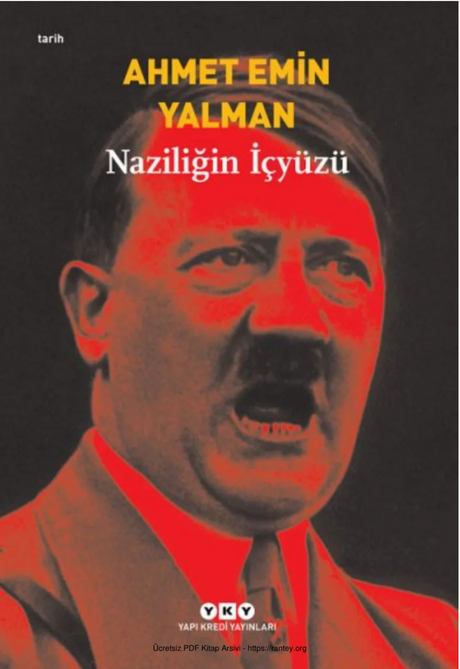 Naziliğin İçyüzü kapak görseli