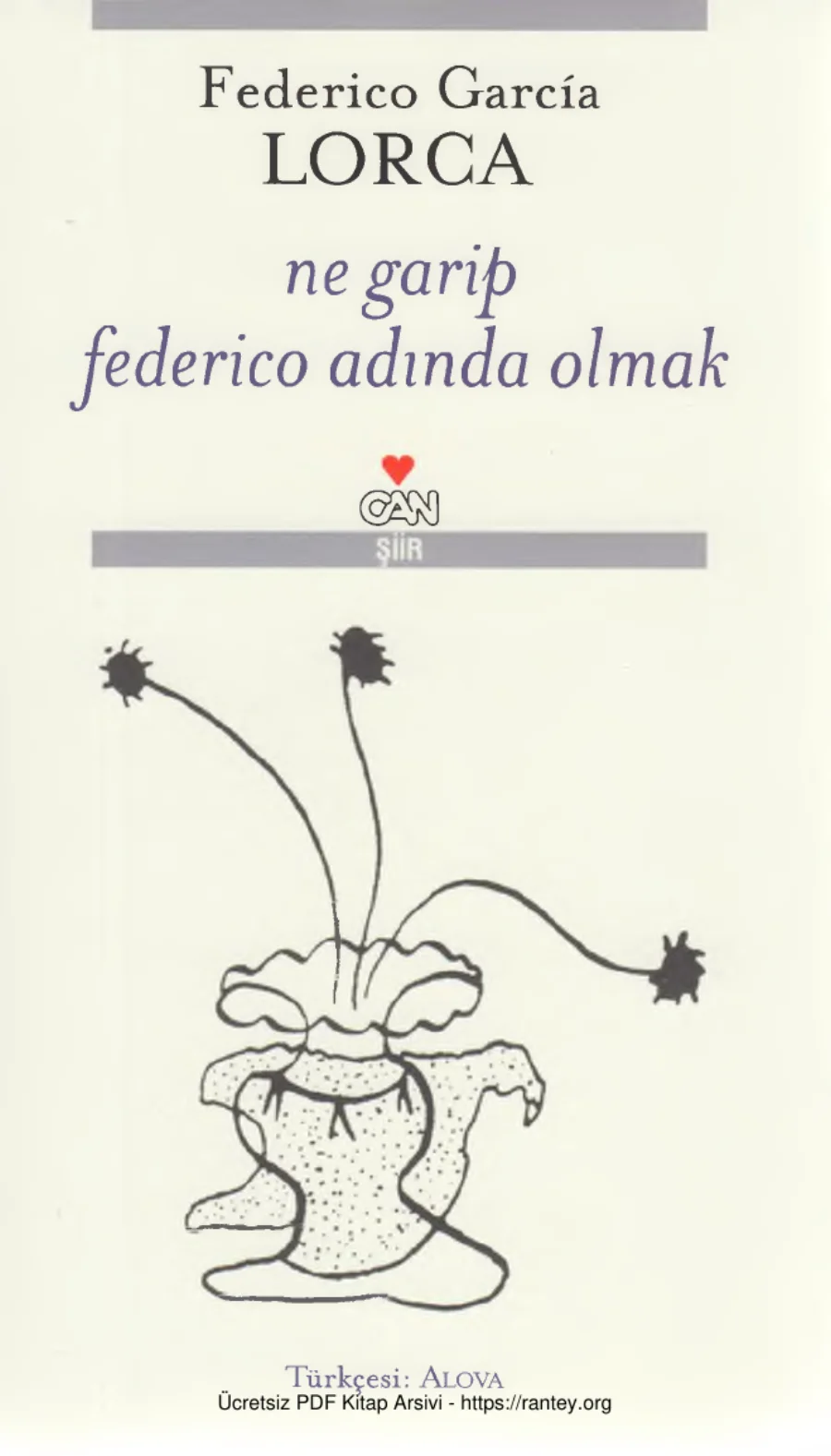 Ne Garip Federico Adında Olmak kapak görseli