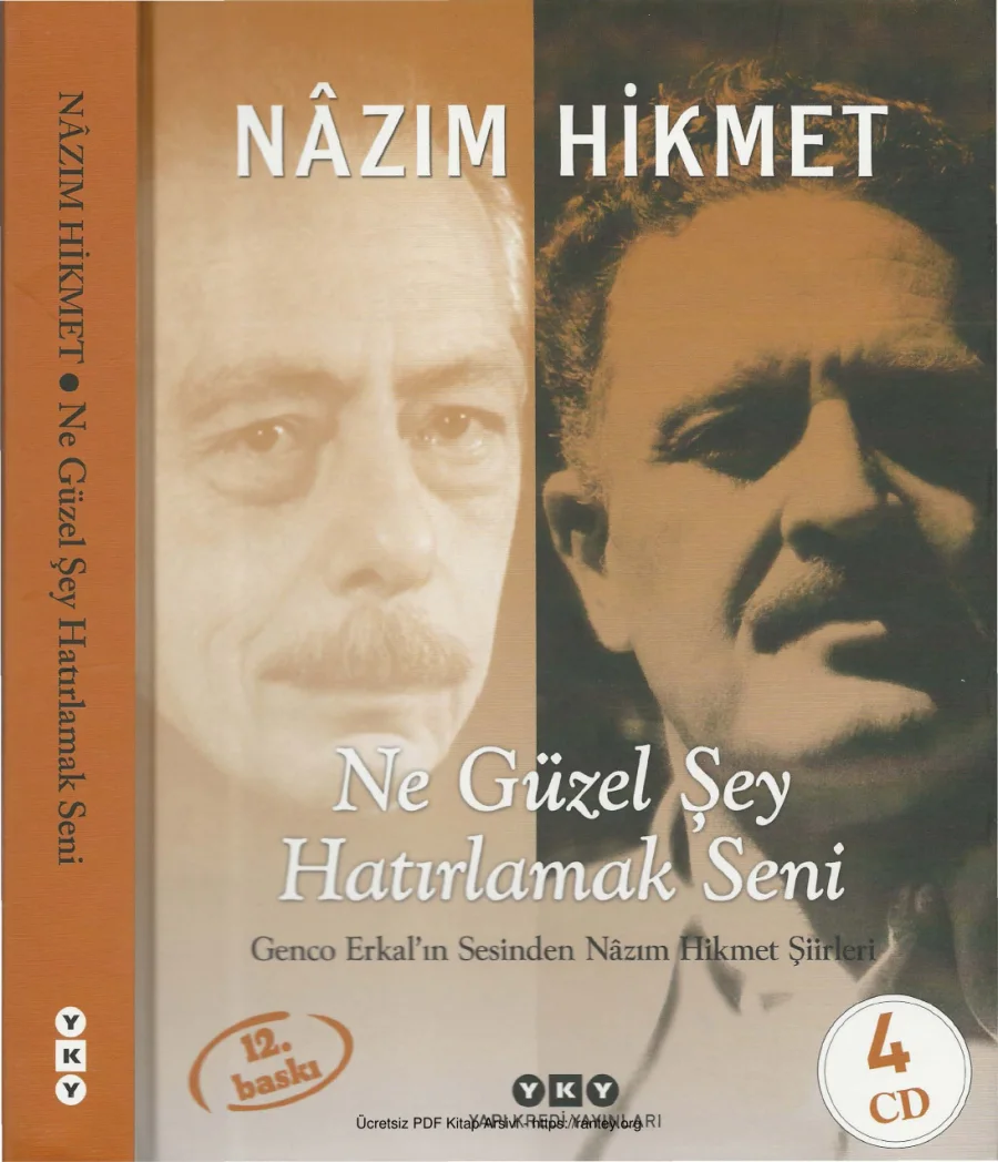 Ne Güzel Şey Hatırlamak Seni kapak görseli