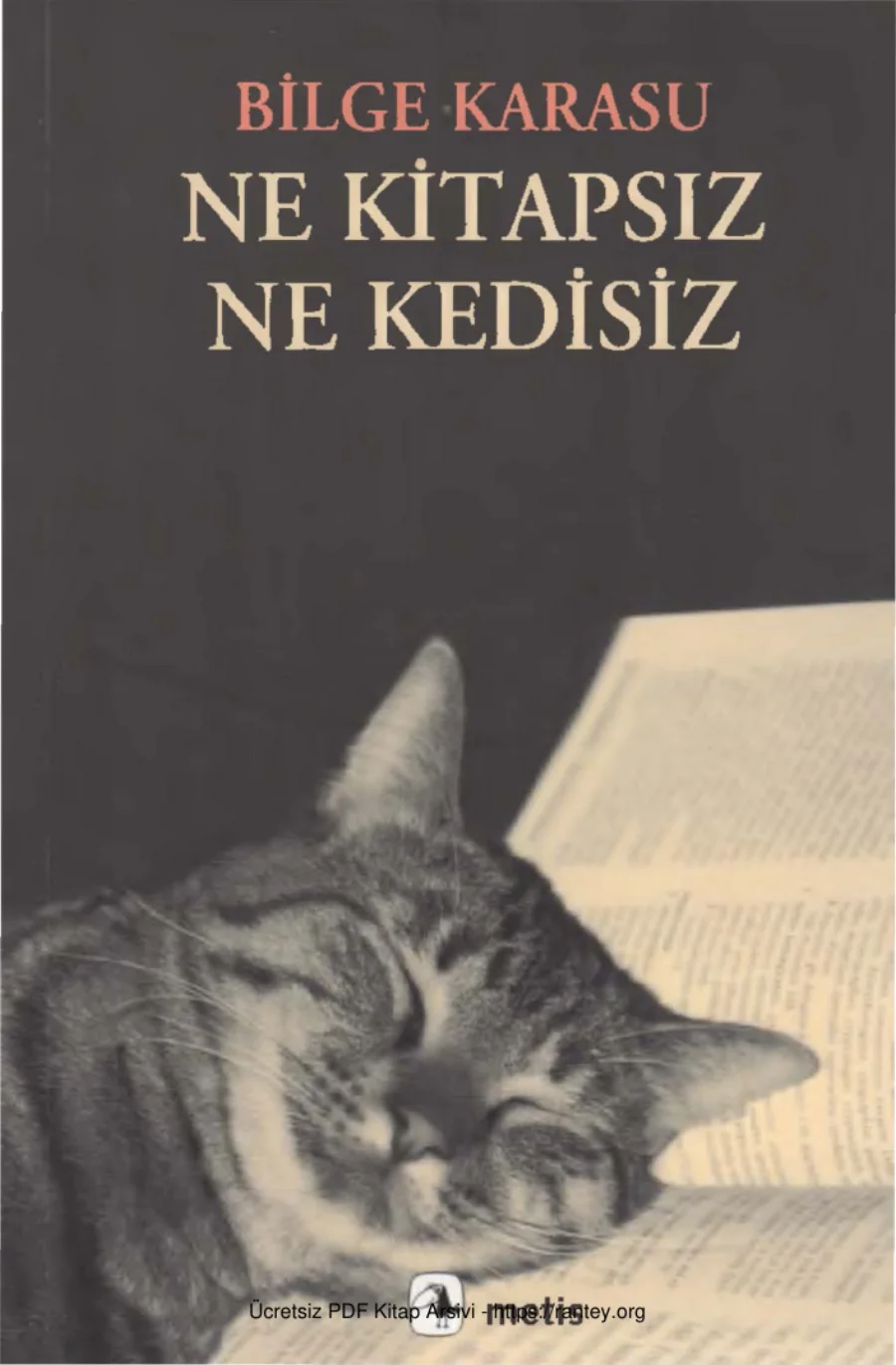 Ne Kitapsız Ne Kedisiz kapak görseli