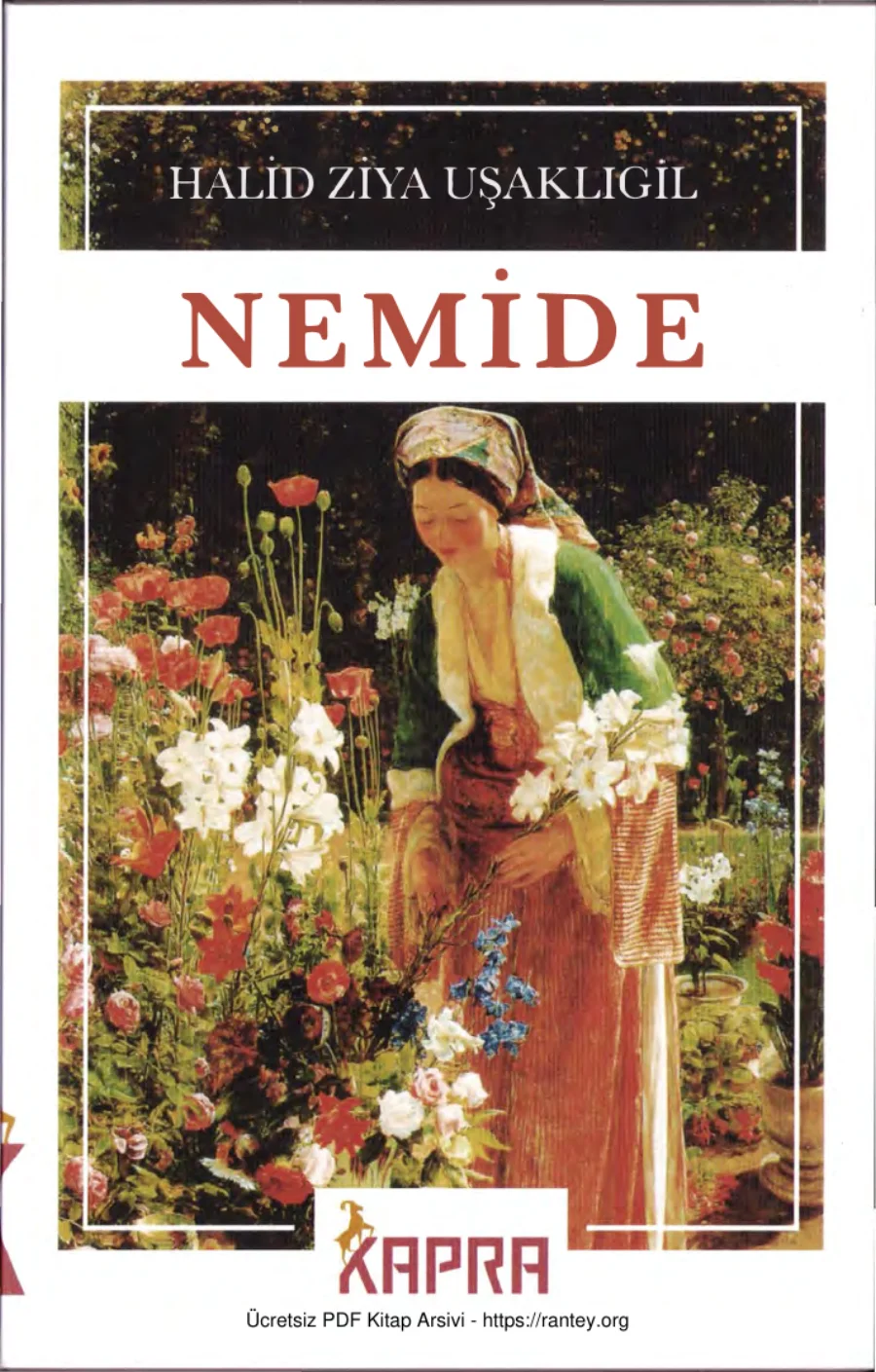 Nemide Kapra Yayınları kapak görseli