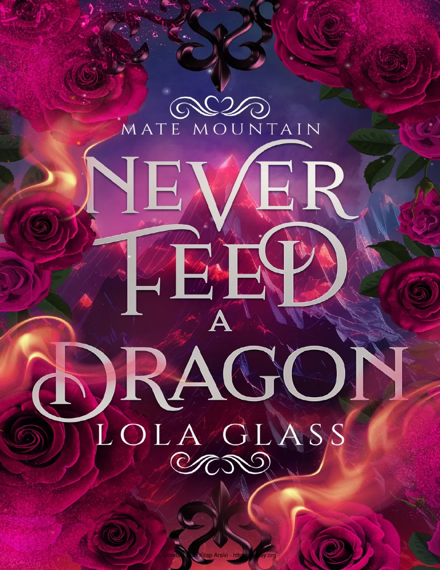 Never Feed a Dragon kapak görseli