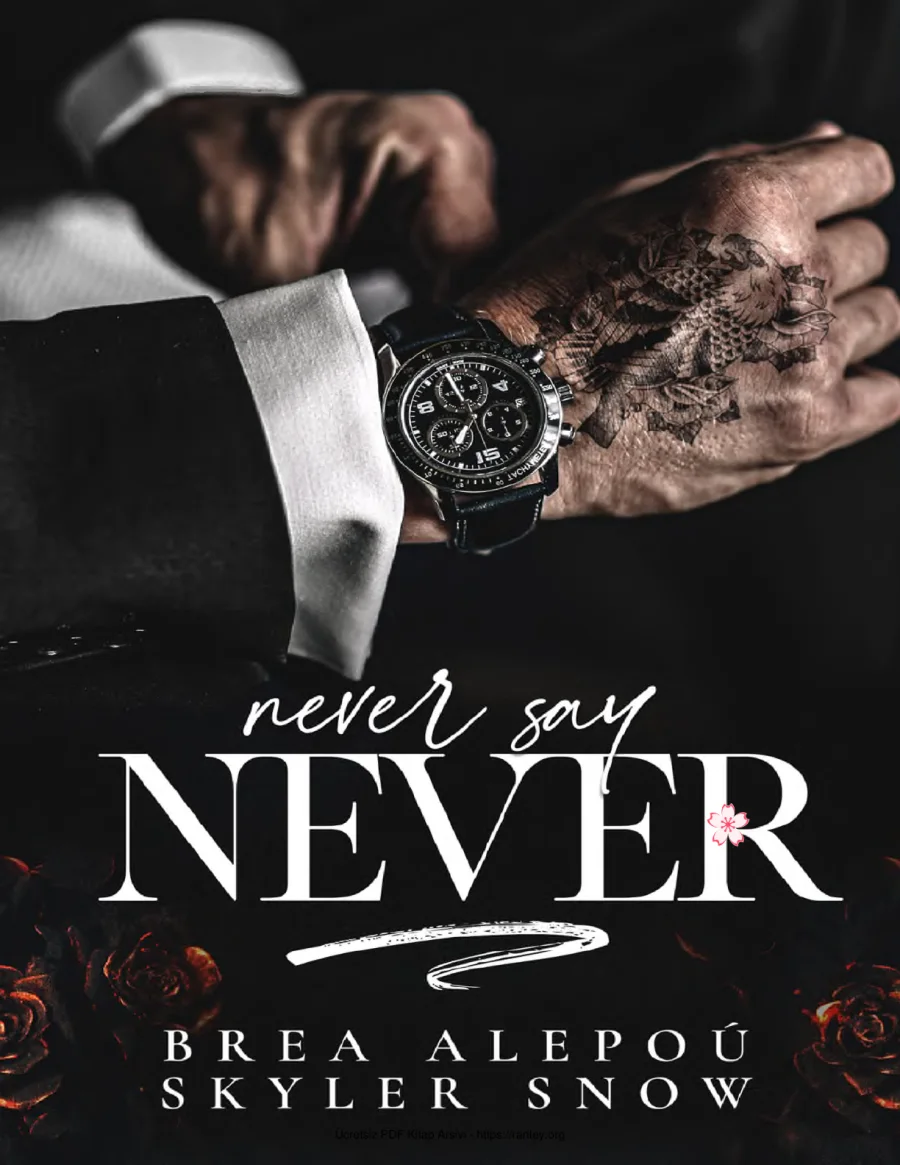 Never Say Never kapak görseli