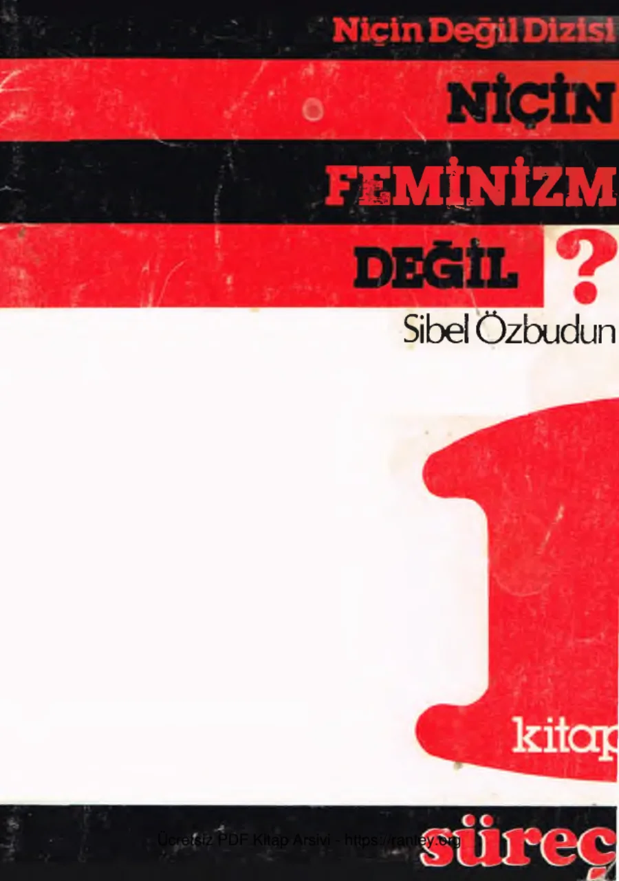 Niçin Feminizm Değil? kapak görseli