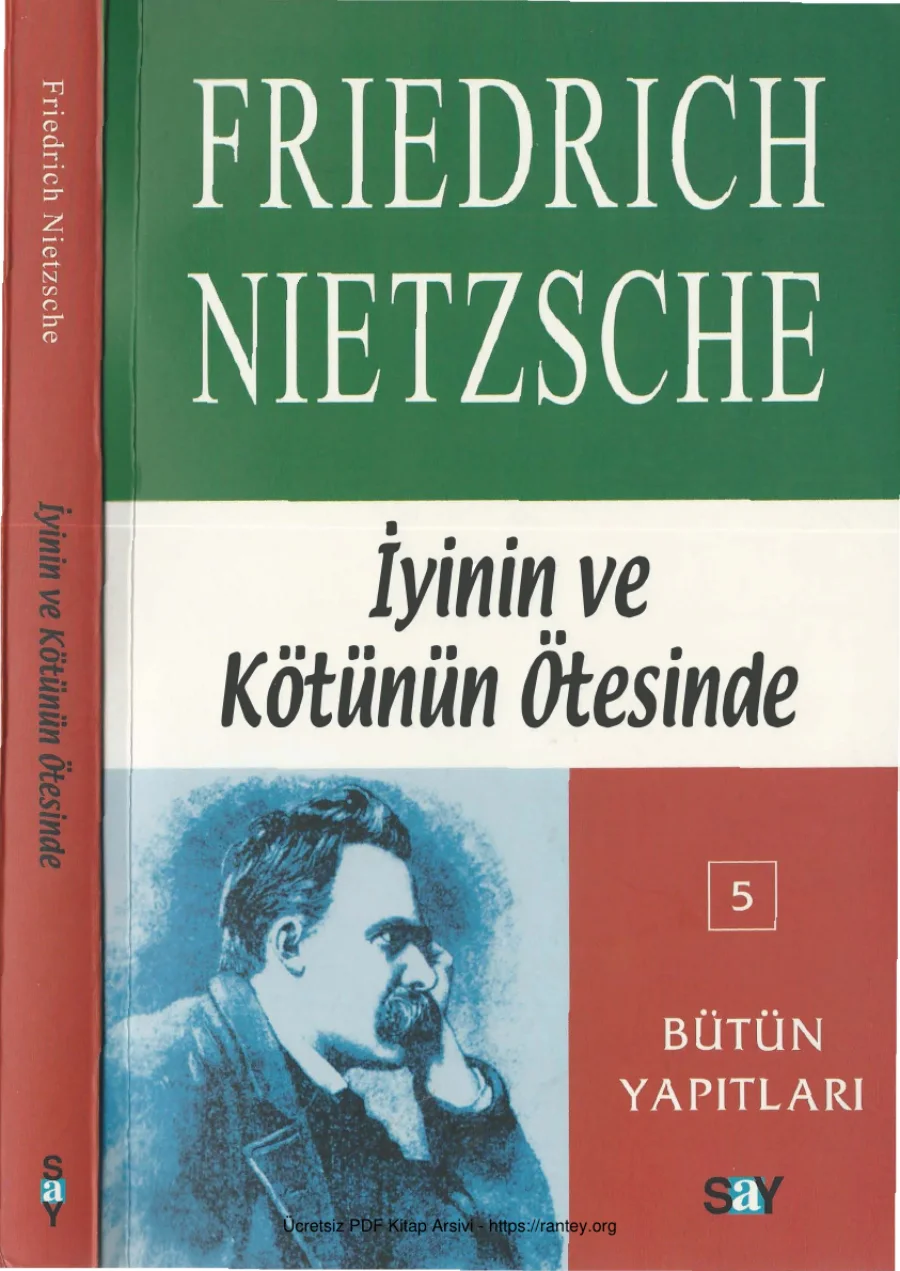 Nietzsche İyinin ve Kötünün Ötesinde Say Yayınları kapak görseli