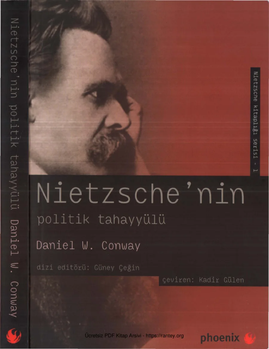 Nietzschenin Politik Tahayyülü kapak görseli